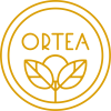 Logo Yellow Transparent