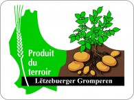 Logo-PDT-Gromperen richteg Faarwen