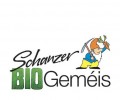 scale large schanzer biogemeis logo2.png