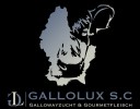GalloluxLogo color b[3234]