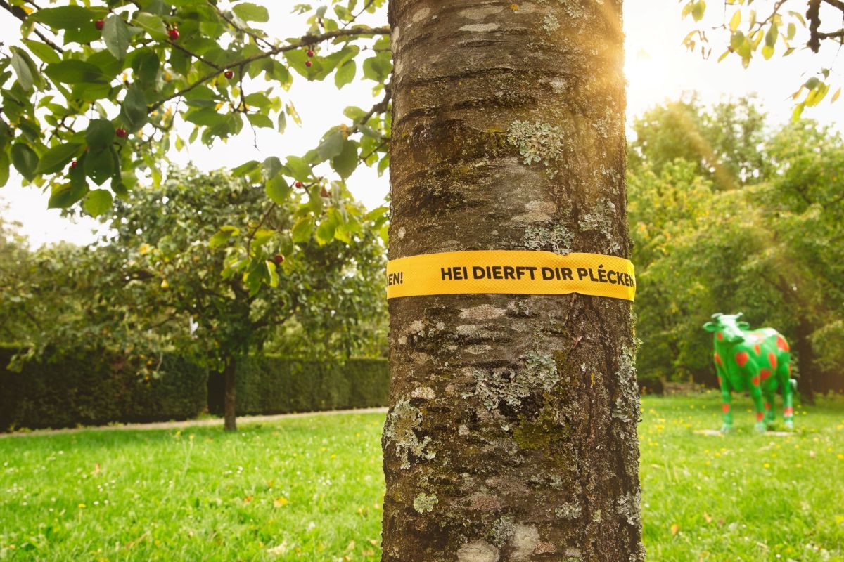 Gielt Band © photostudioC. Bosseler 540A0655c_reduit