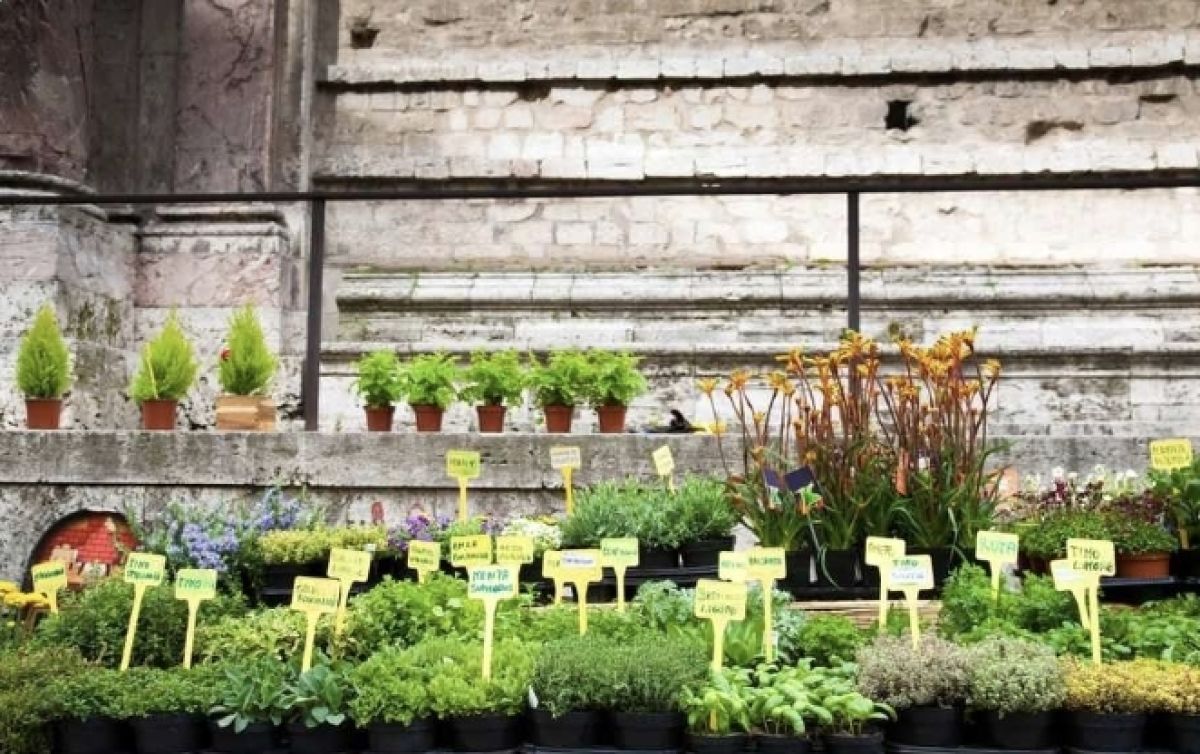 BistrotSennesraich_Photo4