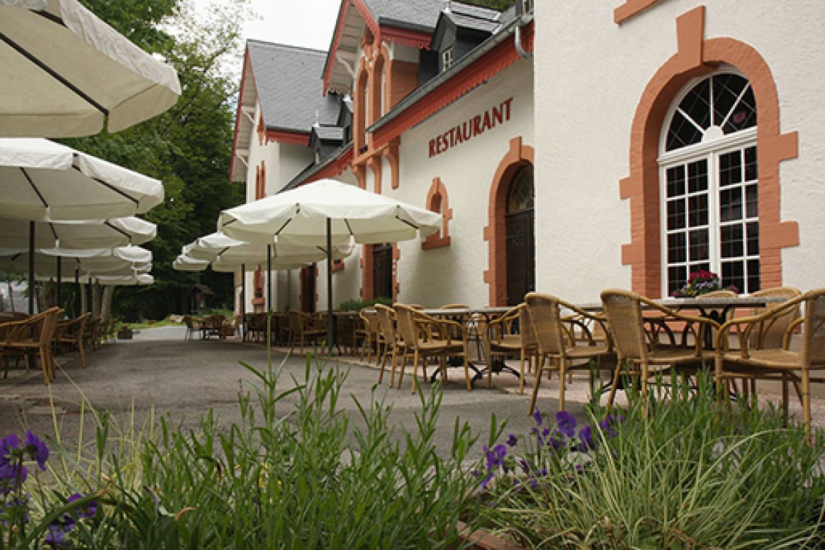 Les ecuries du parc